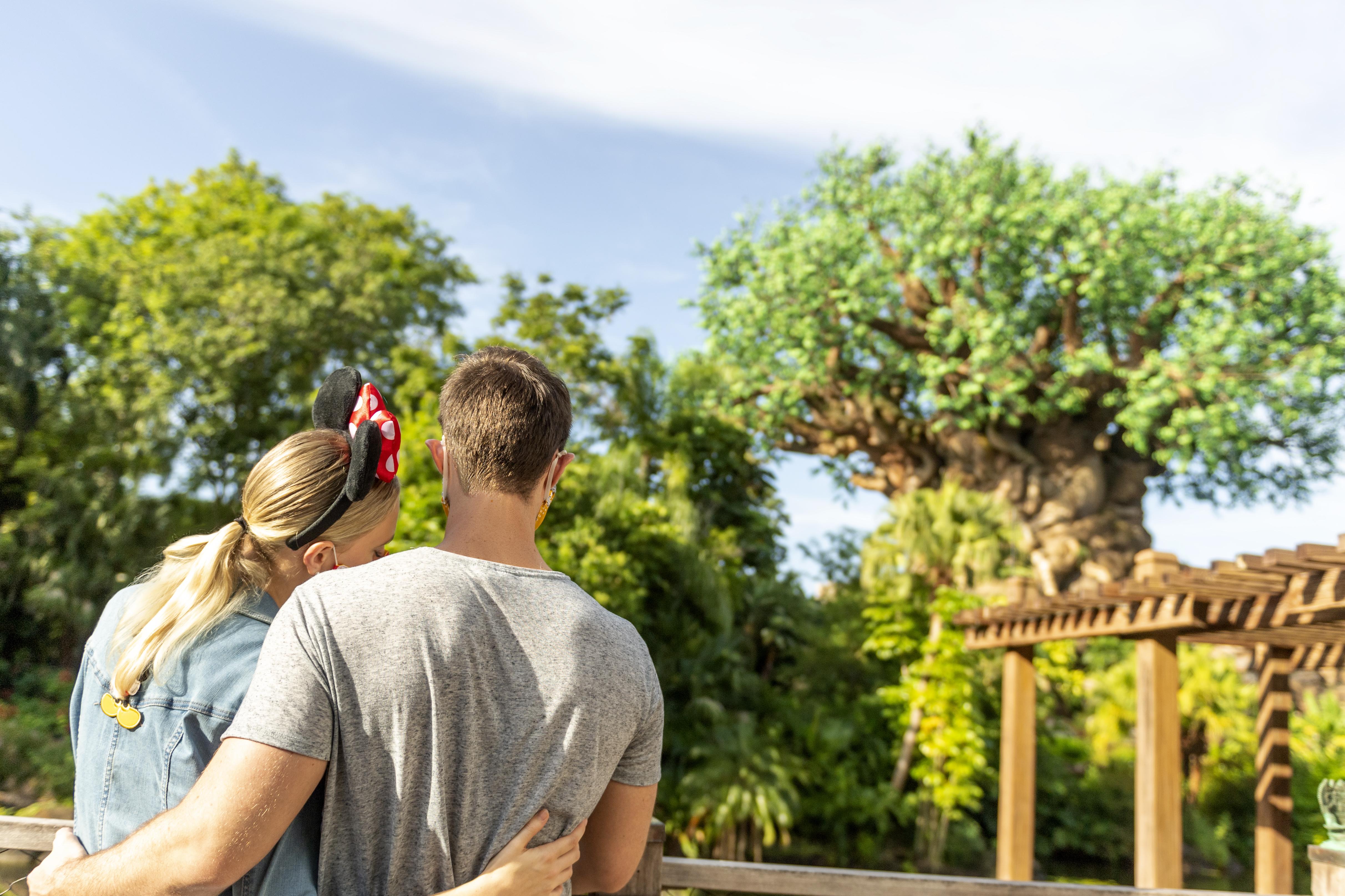 Boulder Ridge Villas At Disney'S Wilderness Lodge Лейк-Буэна-Виста Экстерьер фото